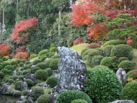 龍潭寺　庭園